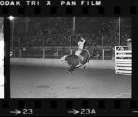 Bubba Haris on Bull #60
