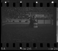 Unidentified Barrel racer