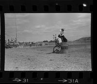 Trulia Mullins (Richard)  Barrel racing