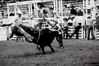 Wacey Cathey on Bull #P5