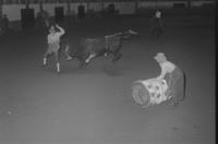 Unidentified Rodeo clowns Bull fighting