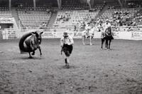 Rodeo clowns Romer & Clayman Bull fighting