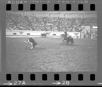Dean Oliver Calf roping