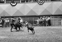 Dean Oliver Calf roping