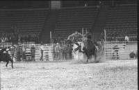 Bob Blandford Calf roping