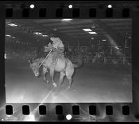 Clint Haverty on Saddle bronc #13