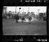 Don Douglas Steer wrestling, 5.6 Sec