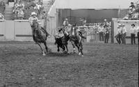 Tommy Puryear Steer wrestling