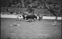 LeRoy Burden's wreck, Bull #214