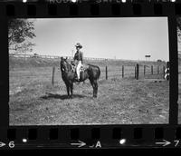 Unidentified Cowgirl on horsesback