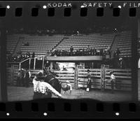 Herb Fricke on Bull #23