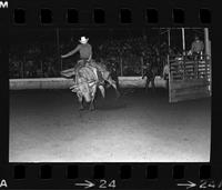 Vanas Hedden on Bull #25