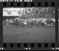 Pat Nogle Steer wrestling