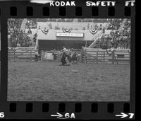 Bobby Goodspeed Calf roping