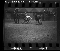 Willie Burback Steer wrestling