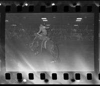 Dan Nichols on Saddle bronc #38