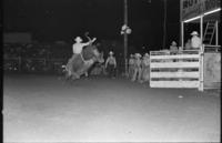 Wayne Hall on Bull #11