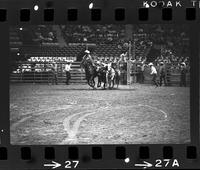 Tony Bulman Steer wrestling