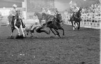 Jess Blackwell Steer wrestling