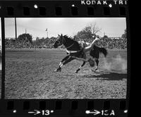 Jeanette Plunkett Trick riding