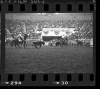 Gist & Murray Team roping