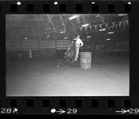 Unidentified Barrel racer