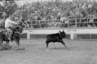 Harry Wilfong Calf roping