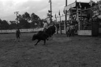 Wayne Hall on Bull #440