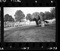 Erin Treaway Barrel racing