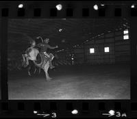 Unknown Saddle bronc rider