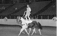 Vicki Tyer Trick riding