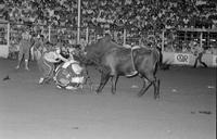 Rodeo clown Bob Romer fighting Bull #45