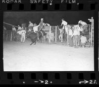 Doyle Howell Bull riding