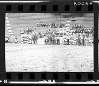 Jim Higgins Steer wrestling
