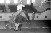 Bill Kornell on Bull #76