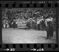 Dickey Cox on Bull #40