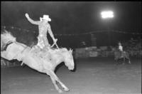 Bob Blackwood on Empty saddles