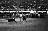 Dave Brock Calf roping