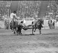 Chas. Thompson Steer wrestling, 5.9 Sec