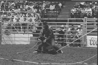 Willard Moody Calf roping
