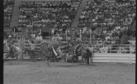 Unidentified rider on unknown mount