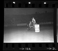 Dottye Bias Barrel racing