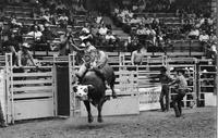 Jerry Beagley on Bull #4