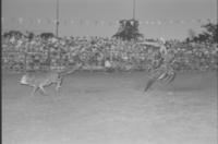 Larry Cohorn Calf roping