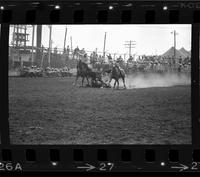 Ron Jerdee Steer wrestling