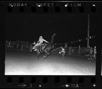 Unidentified Saddle bronc rider