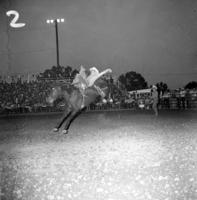 Skip Emmett on Black Bart