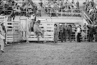 Mike Smith on Bull #1