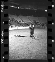 Gene Clark Bull fighting