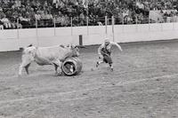Rick Young, Rodeo clown, Bull fighting